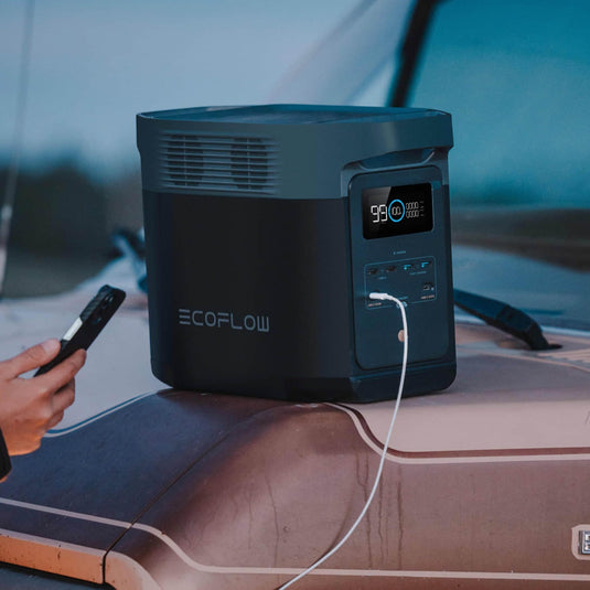 EcoFlow DELTA 2 + 160W Portable Solar Panel + Free Bag